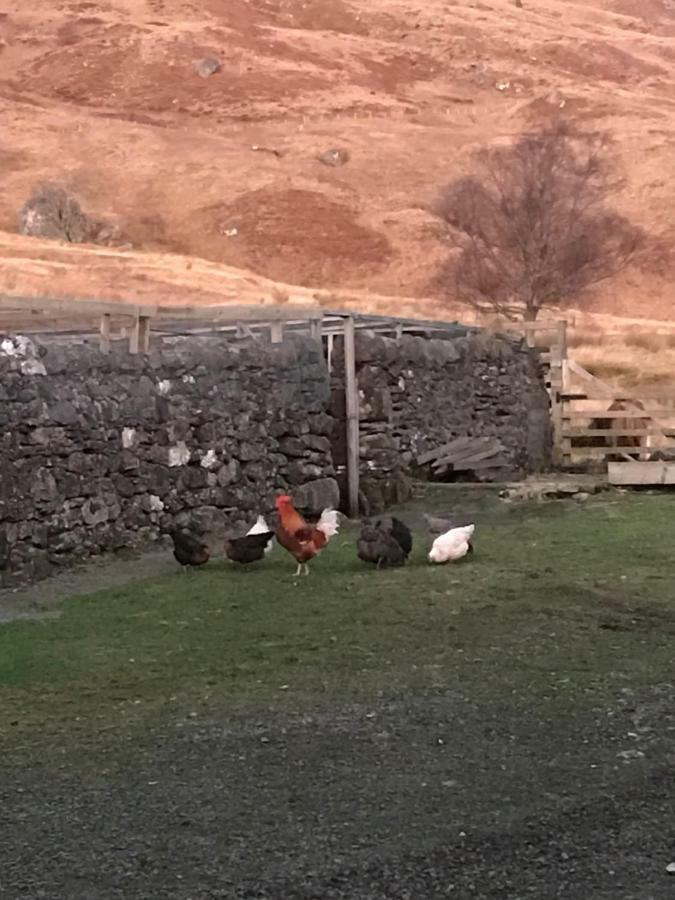 Garrison Of Inversnaid Farm With Hot Tub Buitenkant foto
